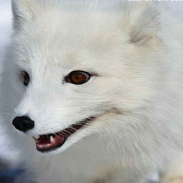 85